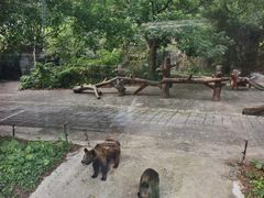 -深圳野生动物园