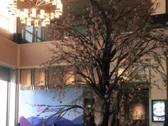 -成都安仁福朋喜来登酒店