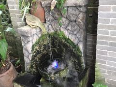 -农厨好味·温泉鹅·农家菜