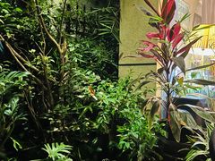 -默迹咖啡馆