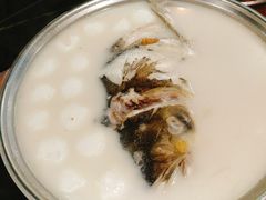 -刘胖子家常菜·蹄花焖藕(中南店)
