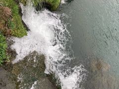 -花溪公园