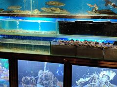 -喜庭海鲜自助(来福士店)