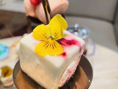 -新发展亚太JW万豪酒店大堂吧