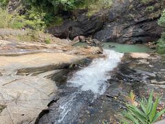 -广州白江湖森林公园