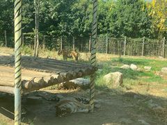 -西安秦岭野生动物园
