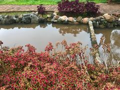 -侯臣咖啡文化村