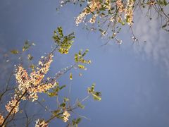 -白石龙音乐公园