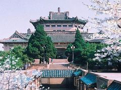 -武汉大学-樱园