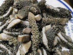 -老爆肚满五香烧牛羊肉
