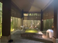 -春晖园度假酒店温泉