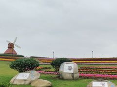-杭州湾海上花田景区