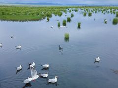 -花湖生态旅游区