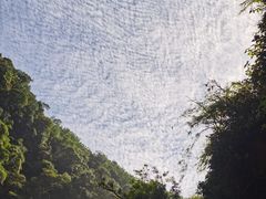 -赤水丹霞旅游区·大瀑布