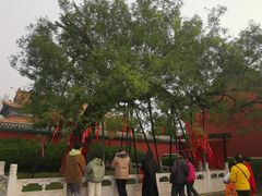 -药王庙(安国市)