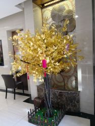 -菜百首饰(朝阳店)