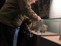 -房山世界地质公园博物馆