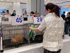 -凯德广场(武胜路店)