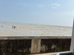 -北海金海湾红树林生态旅游区