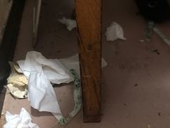 -余氏豆腐包老店(东直街店)