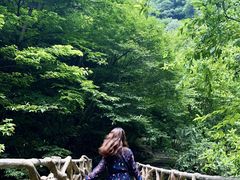 -太湖源风景区