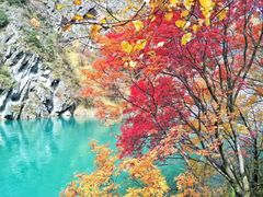 -叠溪松坪沟景区