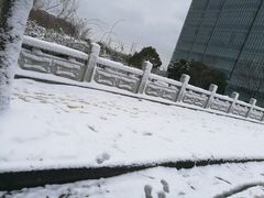 -同济大学(嘉定校区)