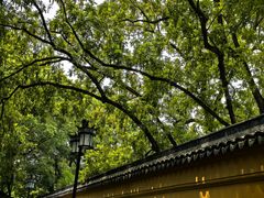 -西园寺素食(西园弄戒幢律寺店)