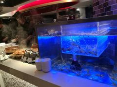 水产区-自助山(合和中心商场店)