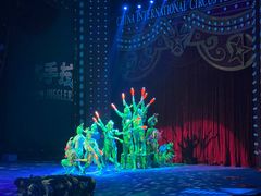 -珠海横琴长隆《卡卡虎奇遇记》