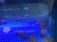 -晶渔坊·海鲜私房菜(东夷小镇店)