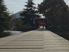 -白马涧龙池景区