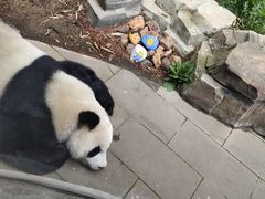 -大连森林动物园