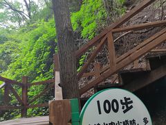 -大岭沟猕猴桃谷风景区