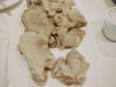 -丁老爷子苏香圆