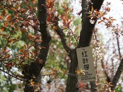 -苏州河梦清园环保主题公园