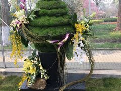 -上海鲜花港