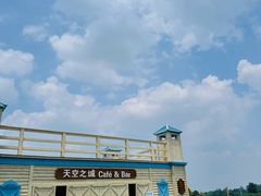-空港花田景区
