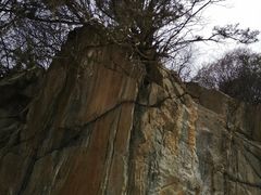 -少华山国家森林公园
