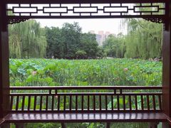 -莲湖公园