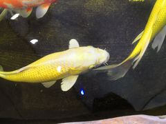 -鸿通城购物中心