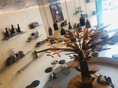 -飞行喵MR PILOT|猫舍·猫咖(静安大融城店)