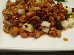 -芙蓉凰花园酒楼