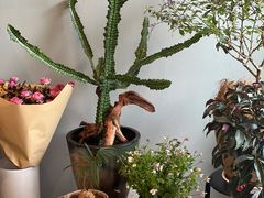 -dotcom coffee古点咖啡(致真大厦店)