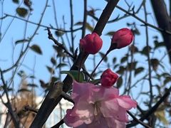-黄兴公园
