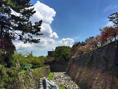 名古屋城-名古屋城