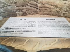 -白鹤梁水下博物馆