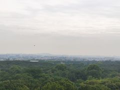 -灵谷景区