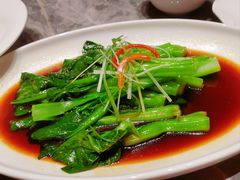 -老绍兴养和饭店(向阳不夜城店)