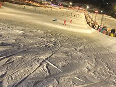 -东北亚滑雪场